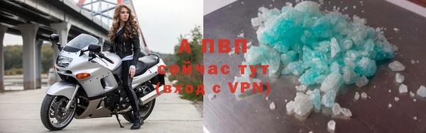 ешки Арсеньев