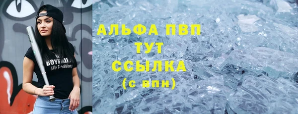 трава Аркадак
