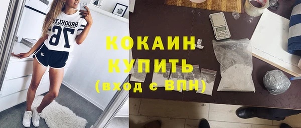 ешки Арсеньев